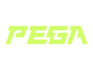 PEGA – Polish Esports & Gaming Agency